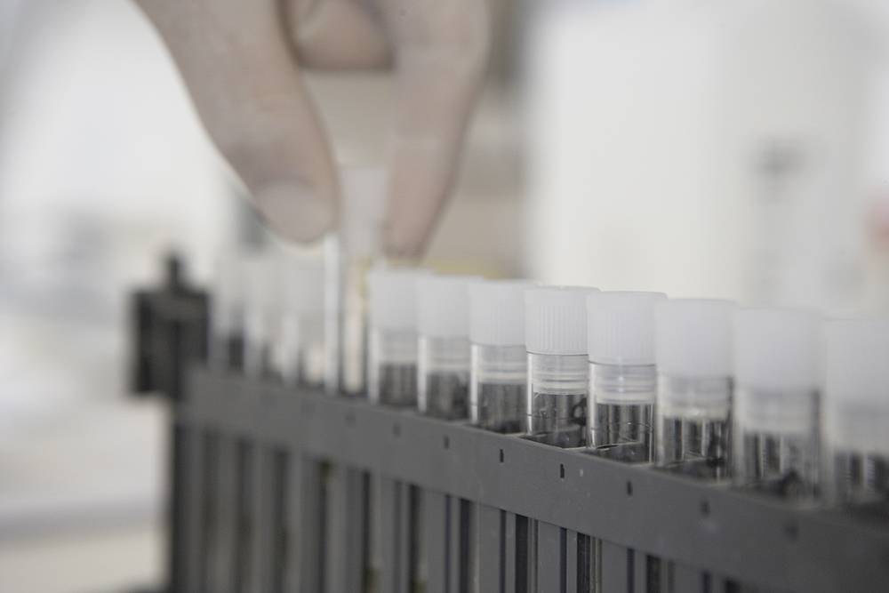 Pep-test: nuova metodica per la gastroenterologia